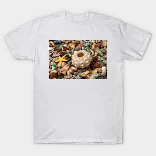 Sea Urchin On Colored Stones T-Shirt